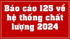 Báo cáo 125 về hệ thống chất lượng năm 2024